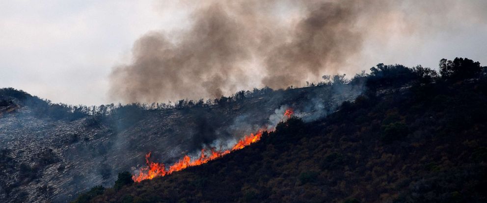 Did Forest Fires Cause Bitcoin’s Price to Crash?